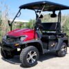 4 seater golf cart